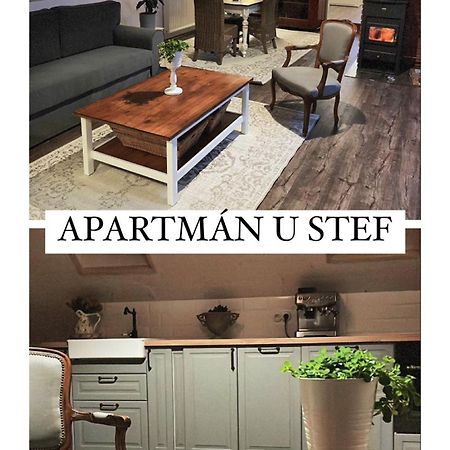 Apartman U Stef Borotice Kültér fotó