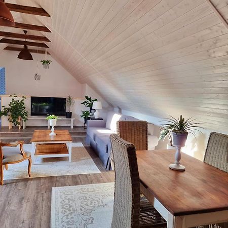 Apartman U Stef Borotice Kültér fotó