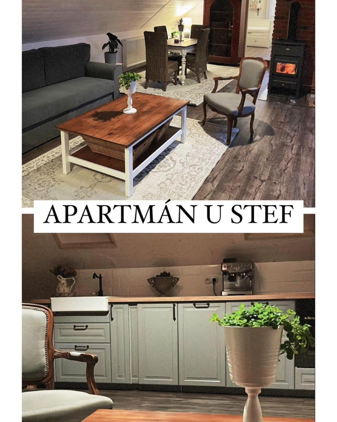 Apartman U Stef Borotice Kültér fotó